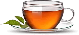 tibet tea тибетский чай от паразитов